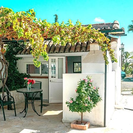 Tiny House 12M2 In Holiday Park With 55 M2 Pool Tolox Zewnętrze zdjęcie